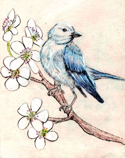Peach Blossom Blue Bird