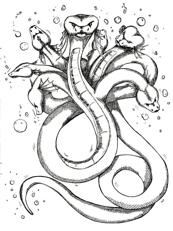 The Hydra of the Orinoco River