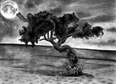 Moonlit Solitude