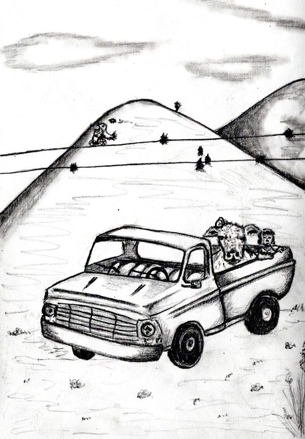 Moo, Birds and Flowers